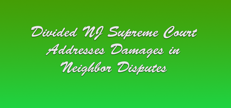Divided NJ Supreme Court Addresses Damages in Neighbor Disputes