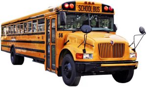 NJ Appeals Court Enjoins City of Orange Referendum Over Deficient Interpretative Question